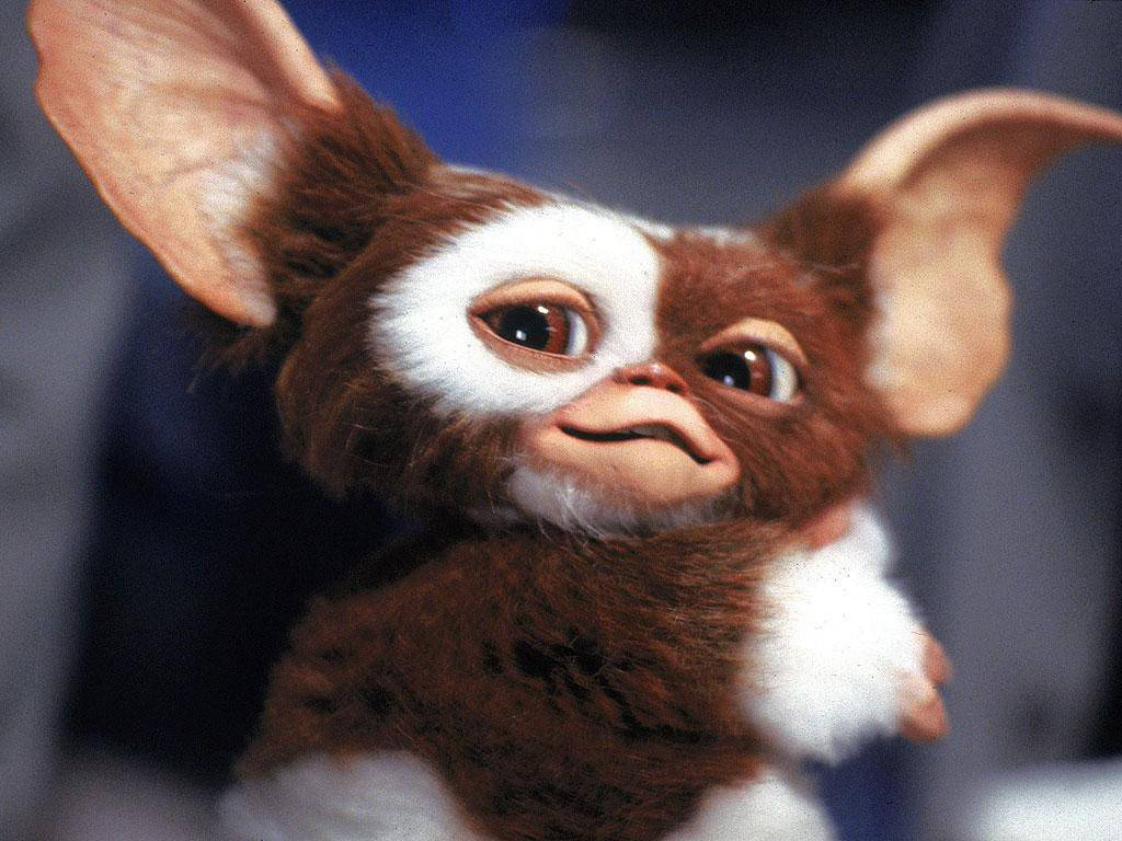 Gremlins High Quality Background on Wallpapers Vista