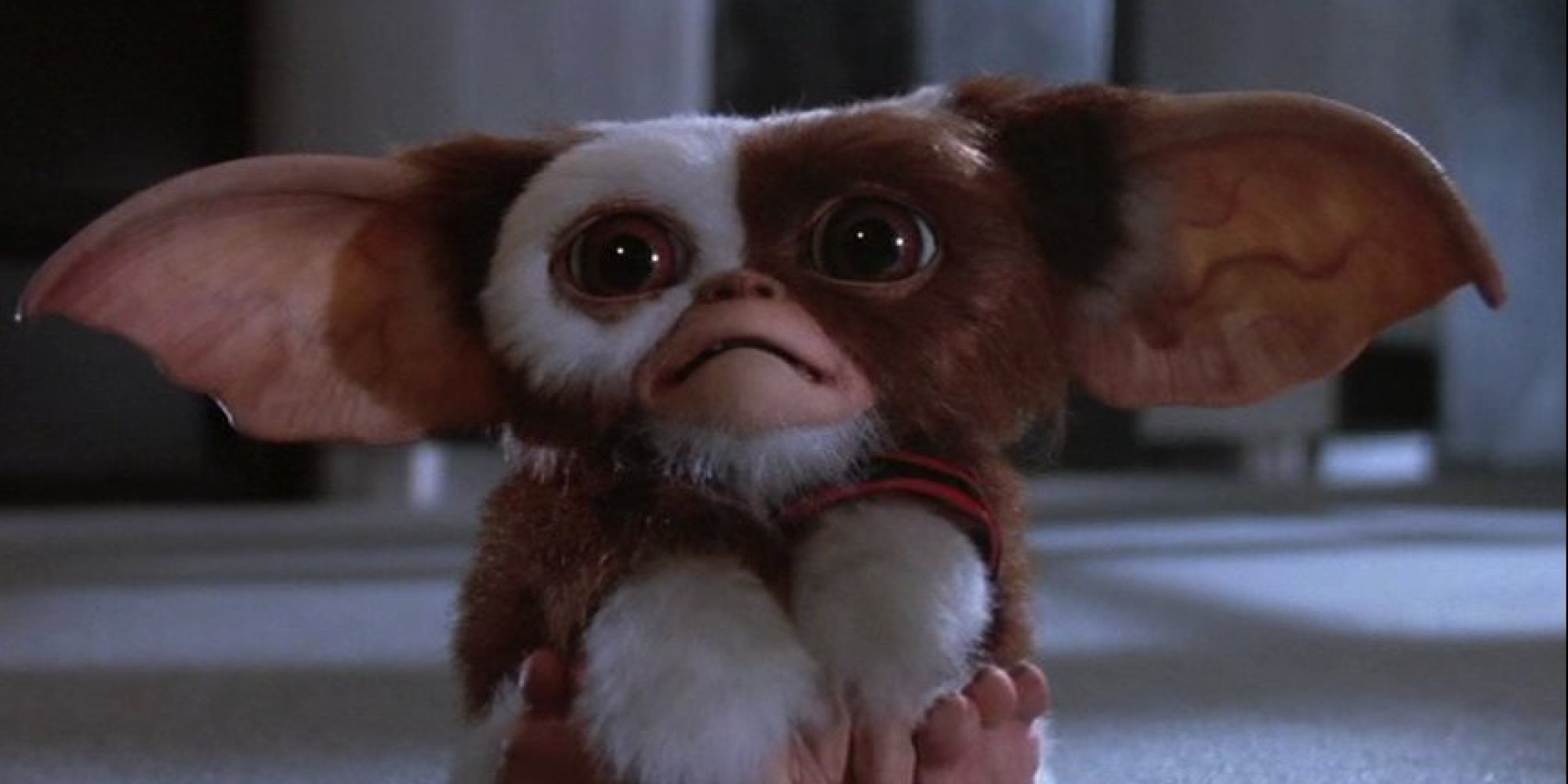 Gremlins Pics, Movie Collection