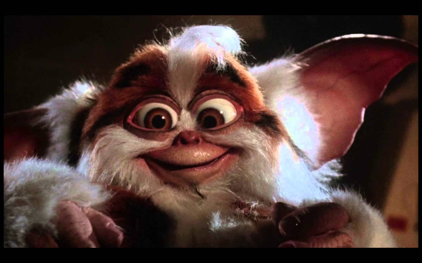 Nice wallpapers Gremlins 1440x900px