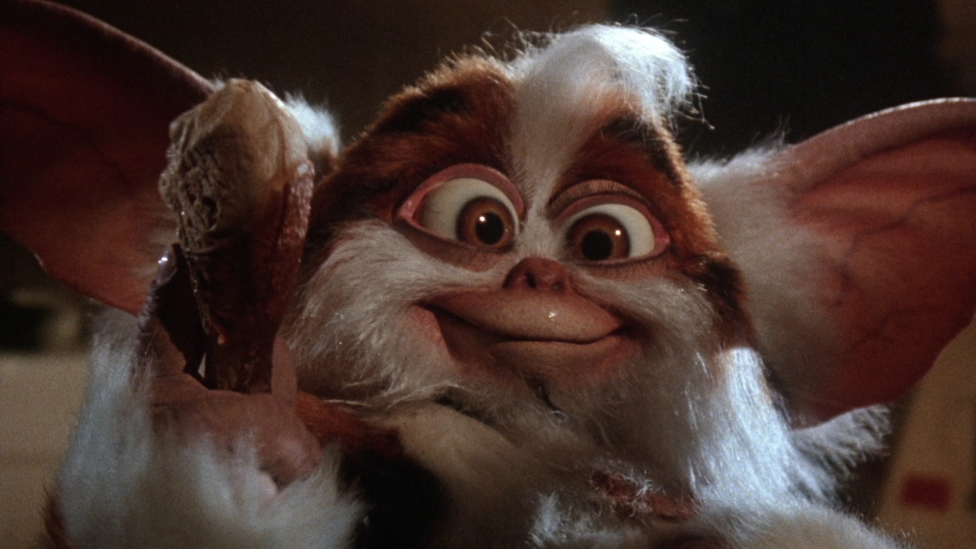 Nice wallpapers Gremlins 1920x1080px