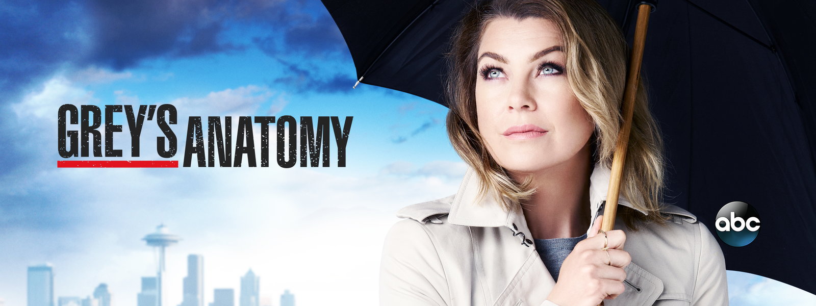 Grey's Anatomy #11