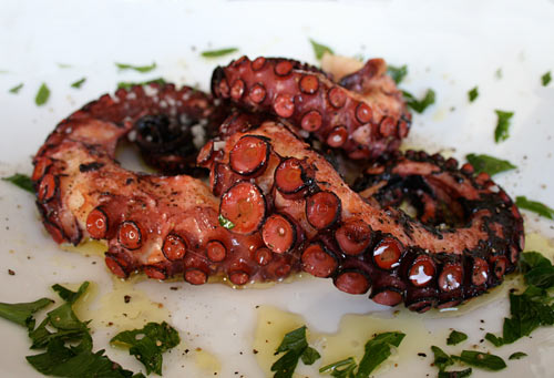 High Resolution Wallpaper | Grilled Octopus 500x341 px