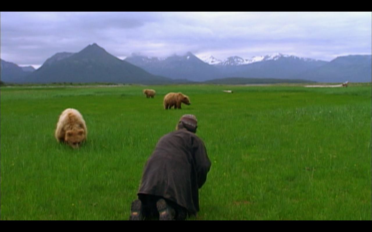 Grizzly Man High Quality Background on Wallpapers Vista
