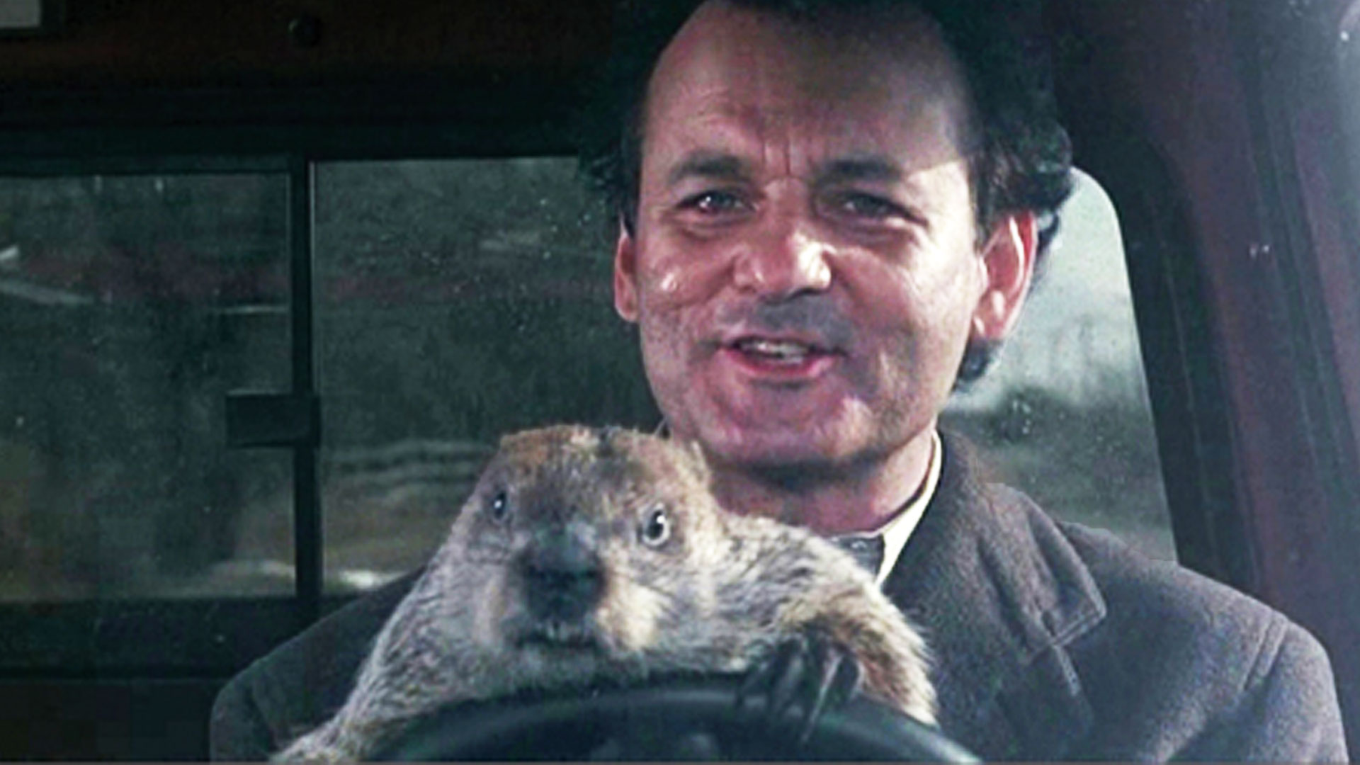 HD Quality Wallpaper | Collection: Movie, 1920x1080 Groundhog Day