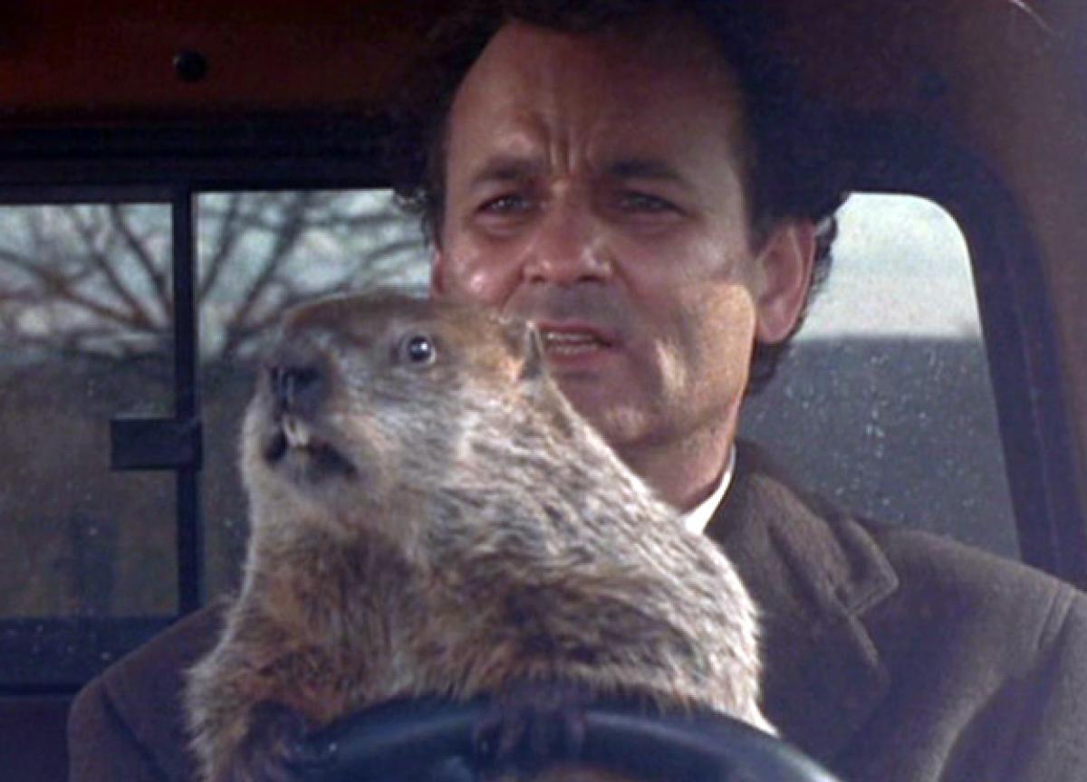 1200x864 > Groundhog Day Wallpapers