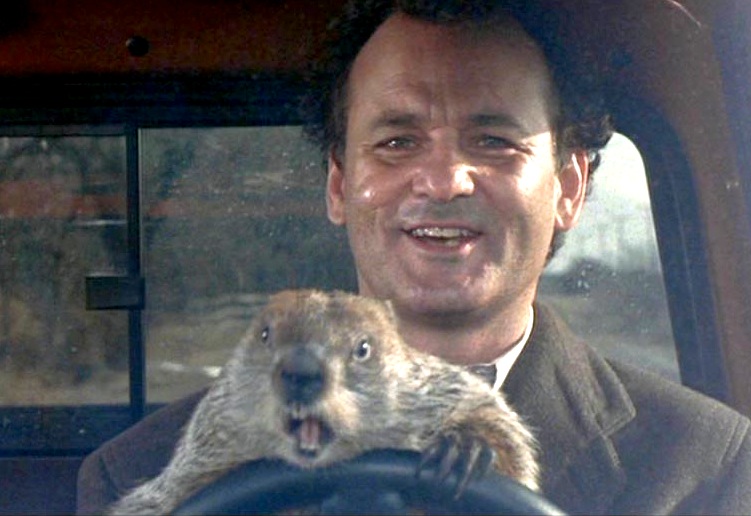 HQ Groundhog Day Wallpapers | File 92.38Kb