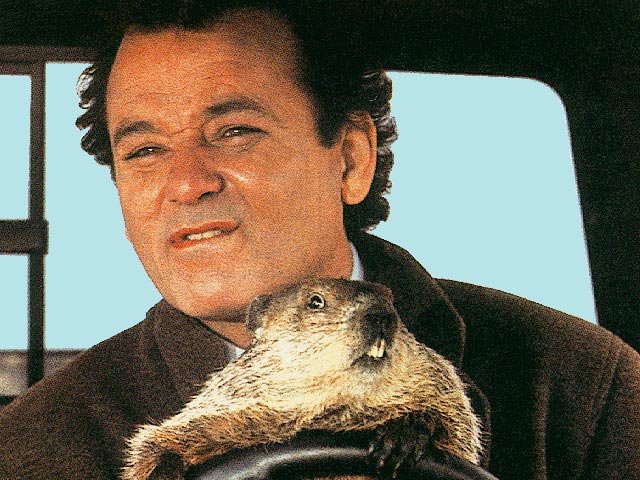 640x480 > Groundhog Day Wallpapers