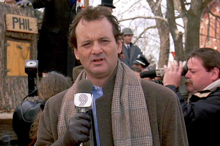 Groundhog Day High Quality Background on Wallpapers Vista