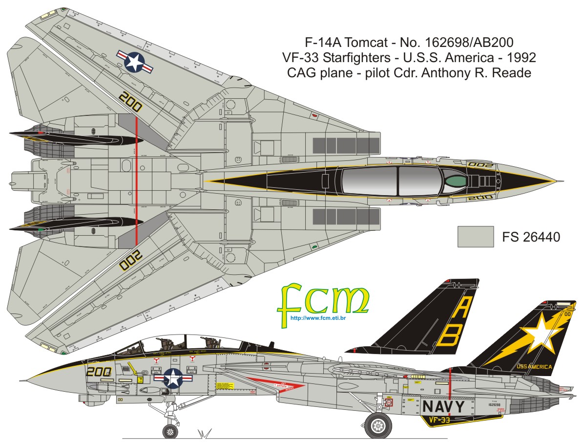 Grumman F-14 Tomcat #8
