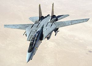 Grumman F-14 Tomcat #11