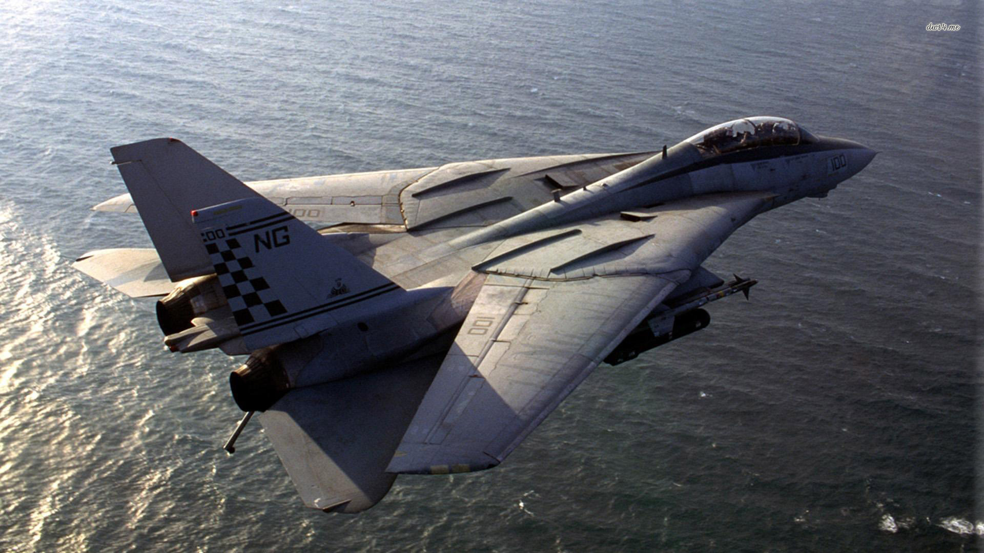 Grumman F-14 Tomcat #19