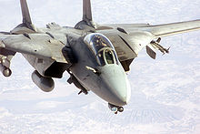 Grumman F-14 Tomcat #13