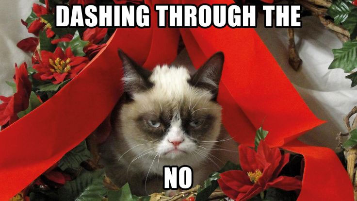 Nice Images Collection: Grumpy Cat's Worst Christmas Ever Desktop Wallpapers