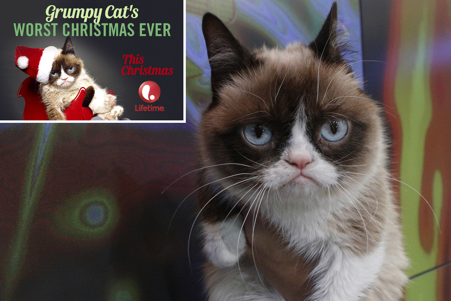 Grumpy Cat's Worst Christmas Ever #21