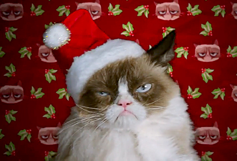 Grumpy Cat's Worst Christmas Ever #3