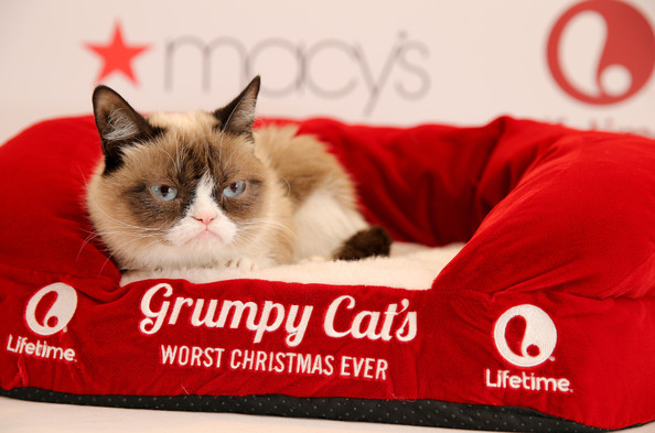 Grumpy Cat's Worst Christmas Ever #13