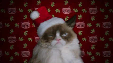 Grumpy Cat's Worst Christmas Ever Backgrounds on Wallpapers Vista