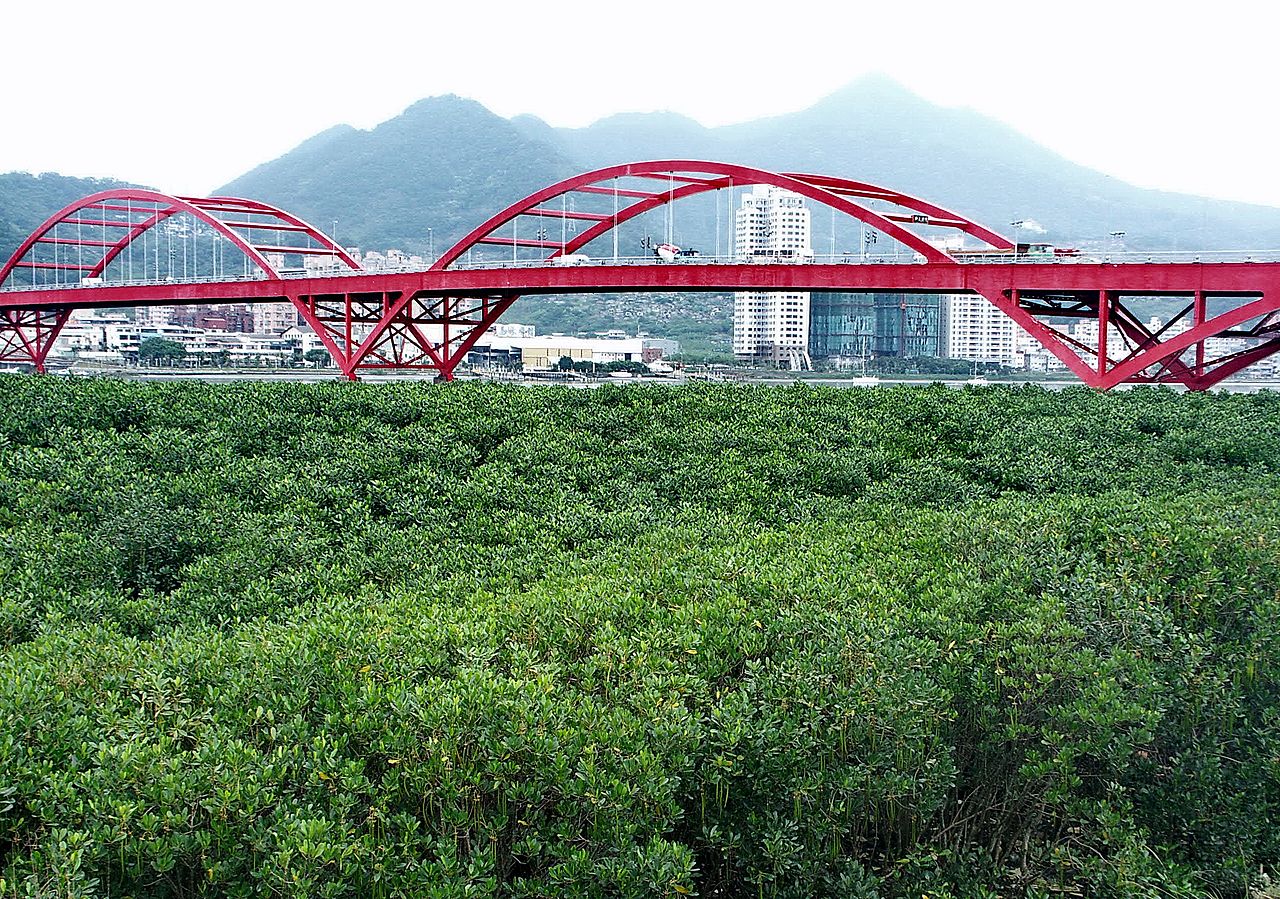 Guandu Bridge High Quality Background on Wallpapers Vista