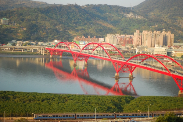 Guandu Bridge #20