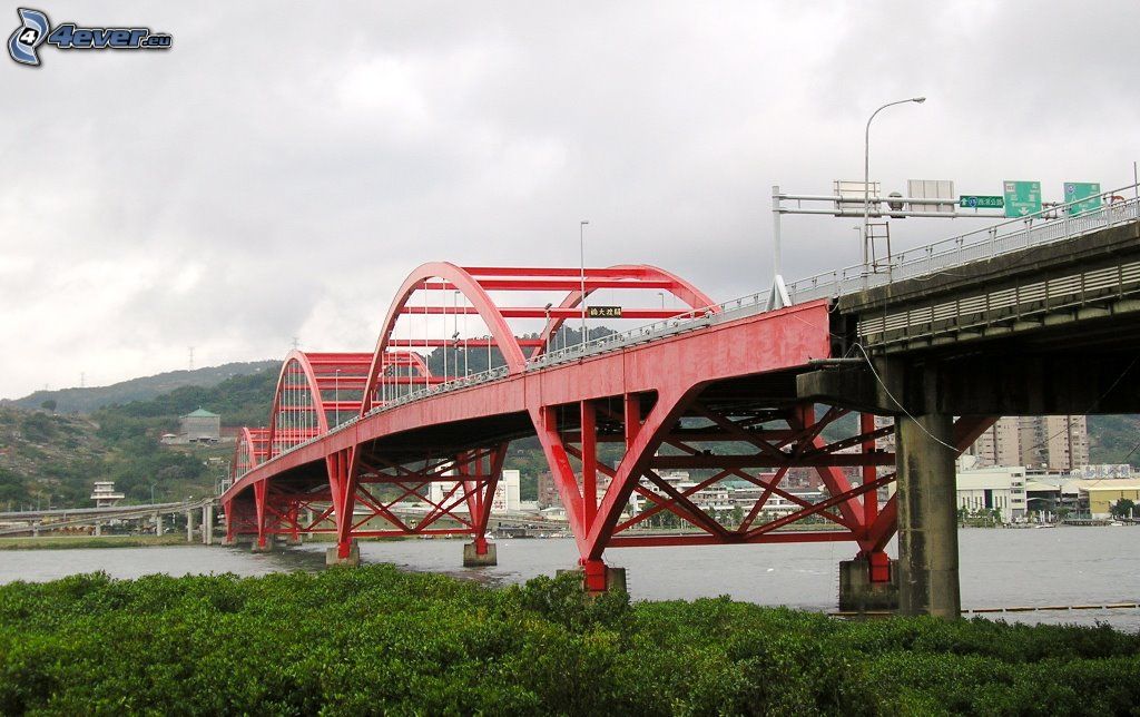 Guandu Bridge #19