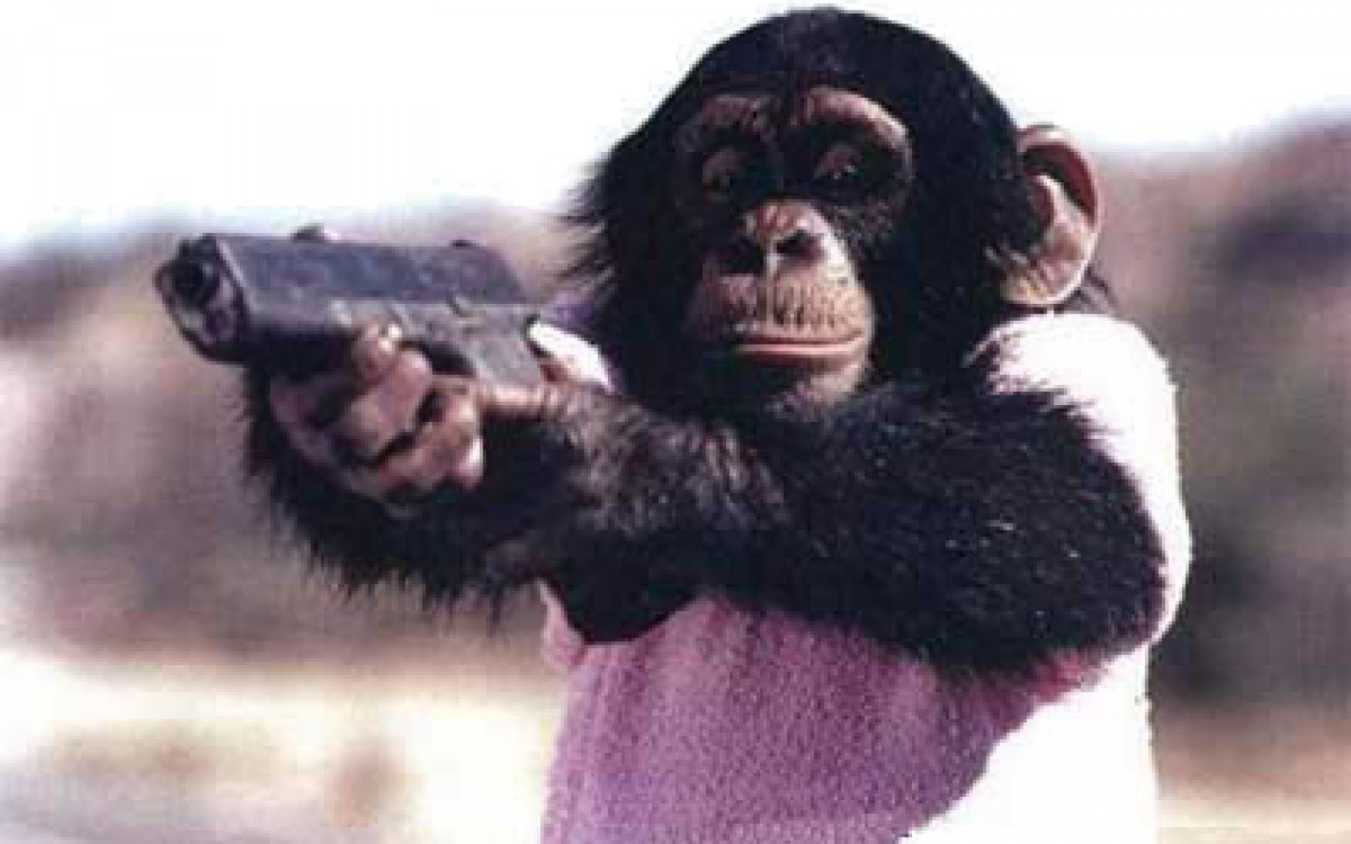 Images of Gun Monkeys | 1920x1200