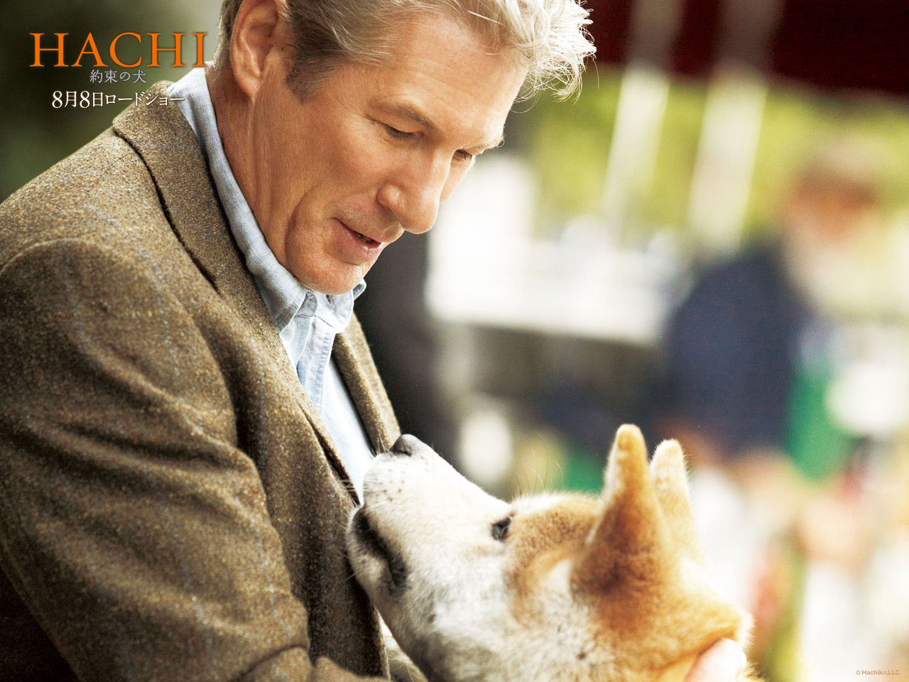 Hachi: A Dog's Tale High Quality Background on Wallpapers Vista