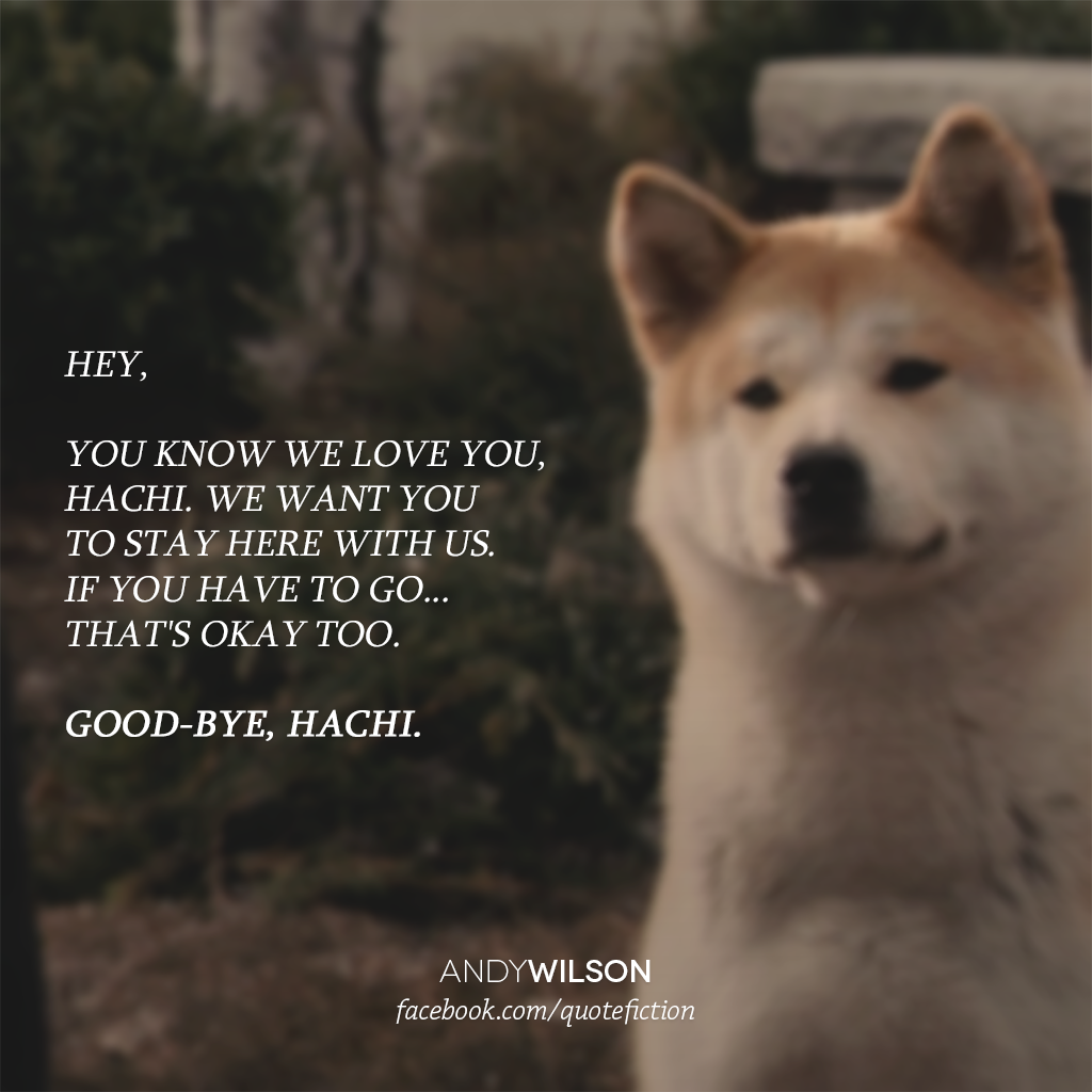 Hachi A Dog's Tale wallpapers, Movie, HQ Hachi A Dog's