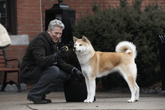 Images of Hachi: A Dog's Tale | 576x384