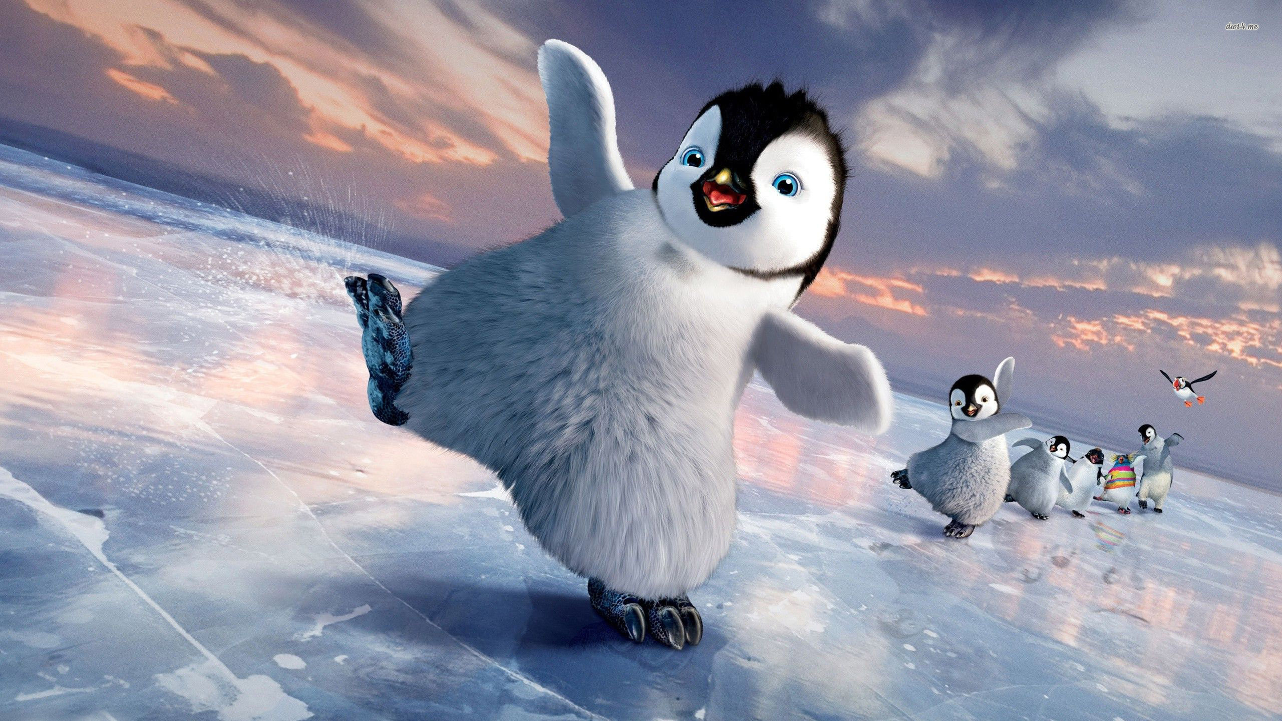Nice wallpapers Happy Feet 2560x1440px