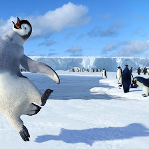 HD Quality Wallpaper | Collection: Movie, 300x300 Happy Feet