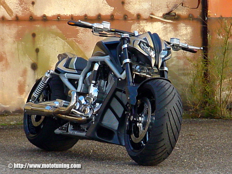 Harley Davidson #17