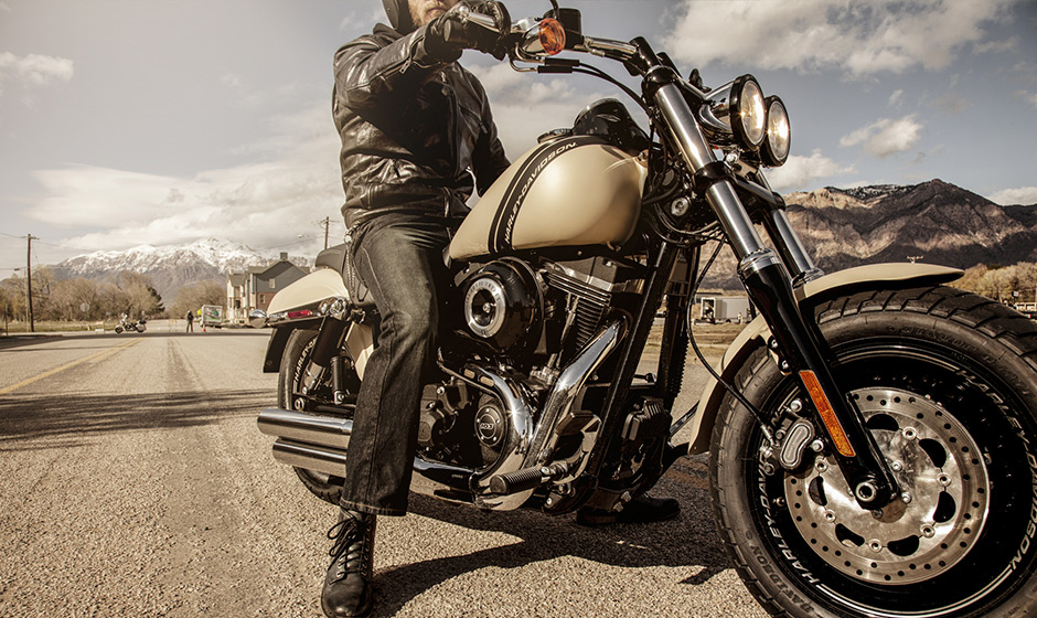 Harley-Davidson Fat Bob #12