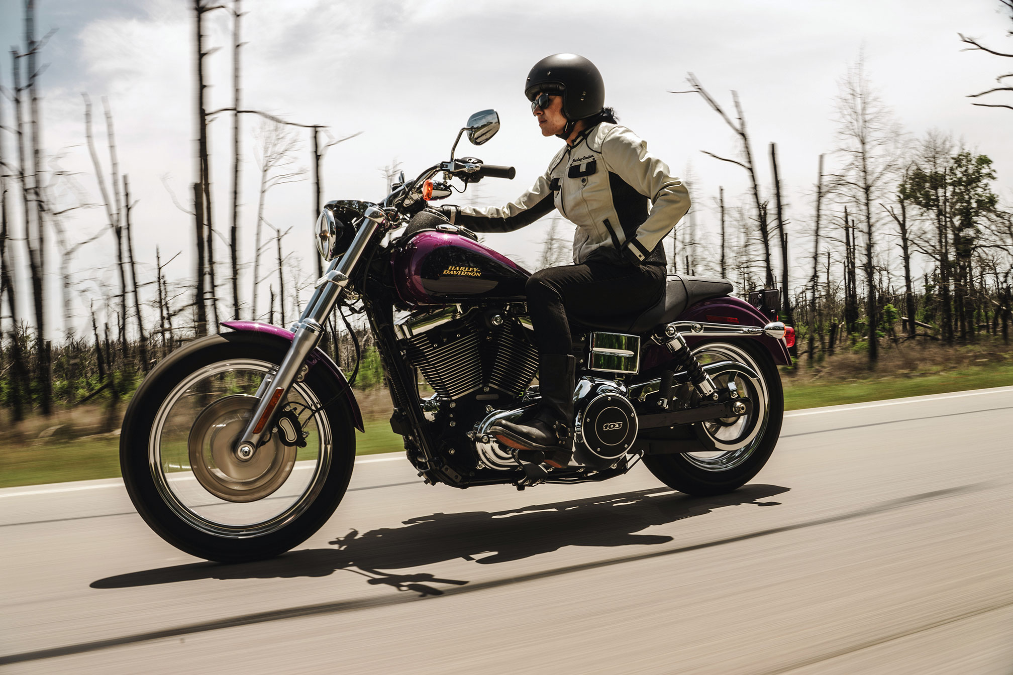 Harley-Davidson Low Rider #8