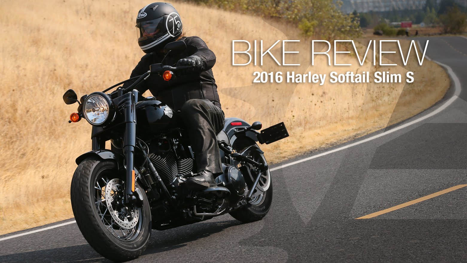 Harley-Davidson Softail Slim #1