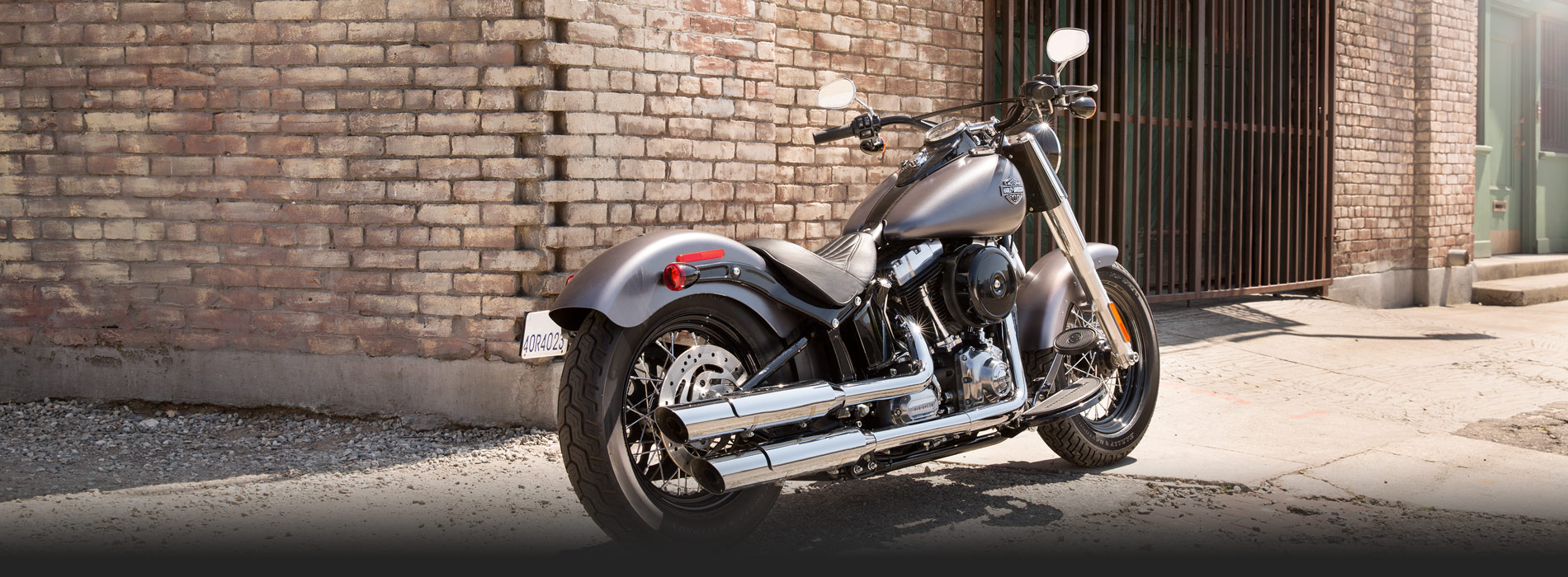 Harley-Davidson Softail Slim #15