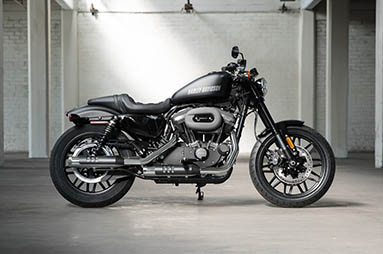 Harley-Davidson Sportster #11