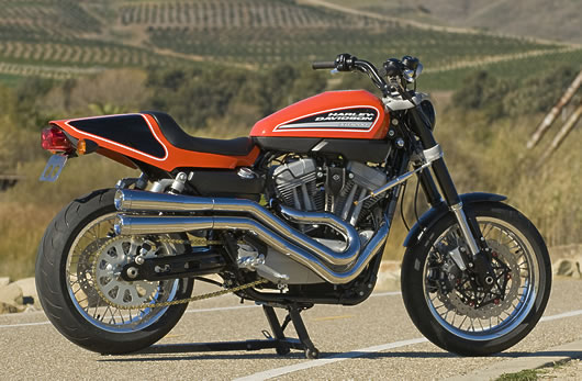 Harley-Davidson XR1200 #18