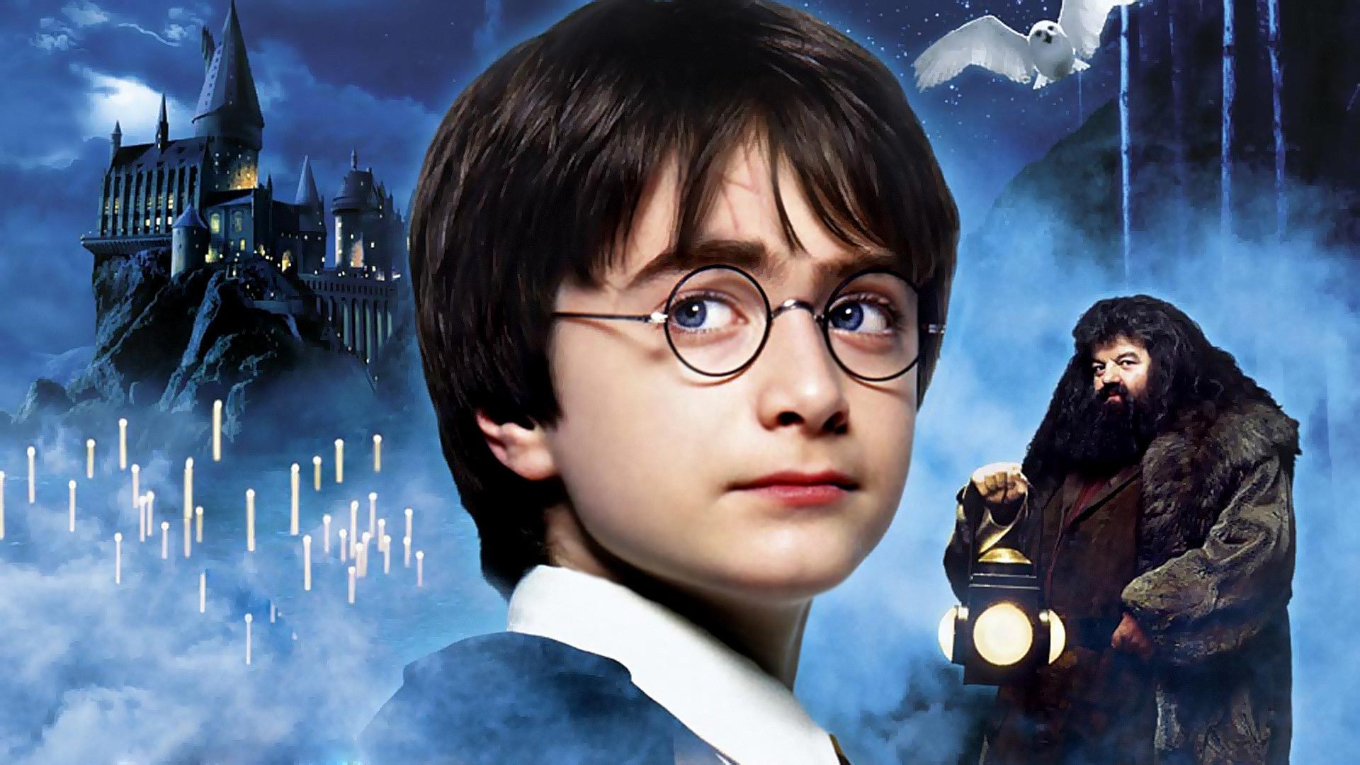 Harry Potter #9