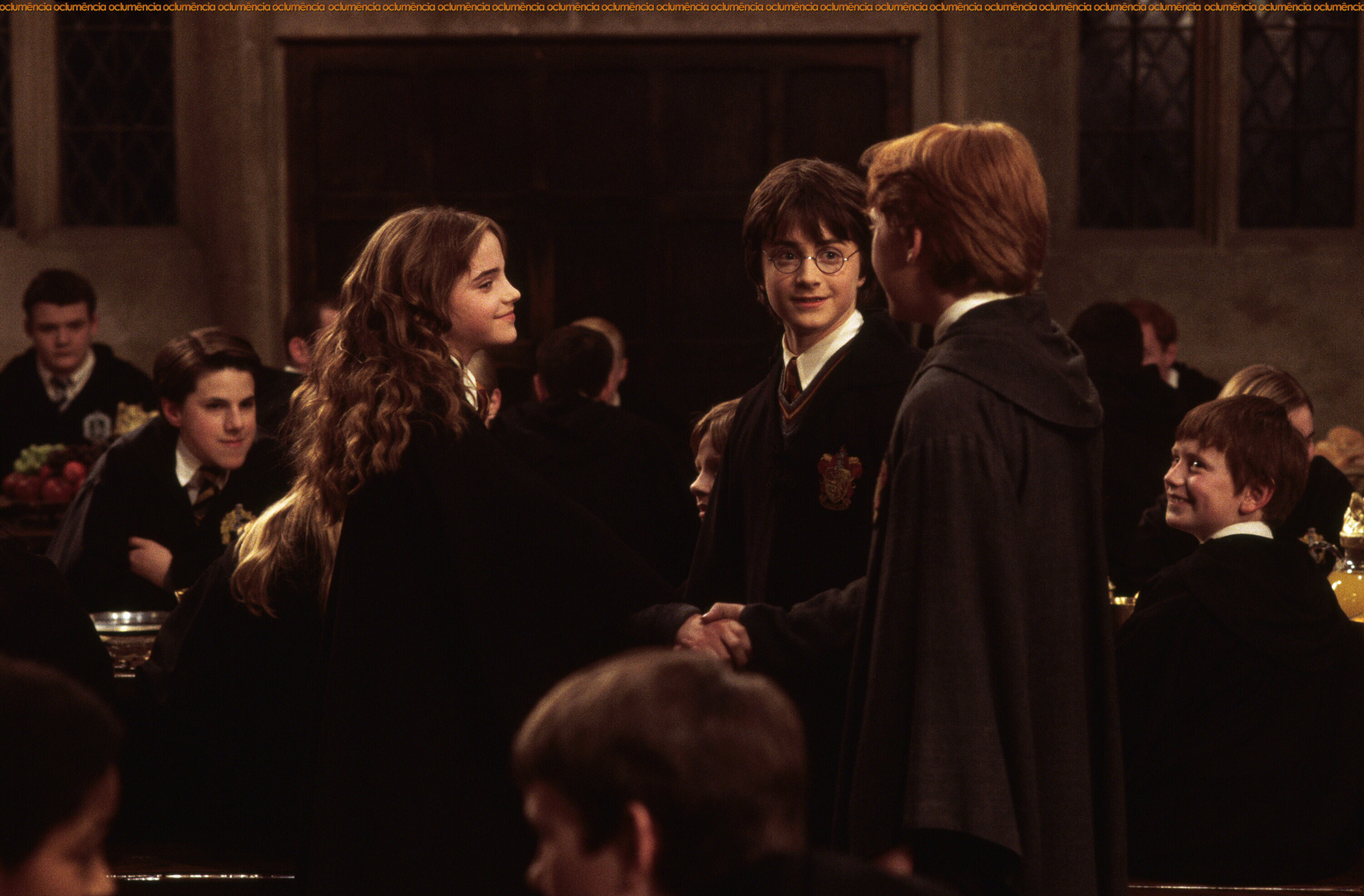 Harry Potter And The Chamber Of Secrets #4