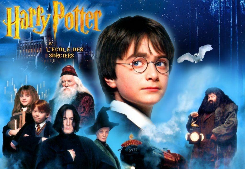 Harry Potter And The Philosopher's Stone #18