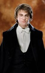 Harry Potter Backgrounds, Compatible - PC, Mobile, Gadgets| 150x243 px