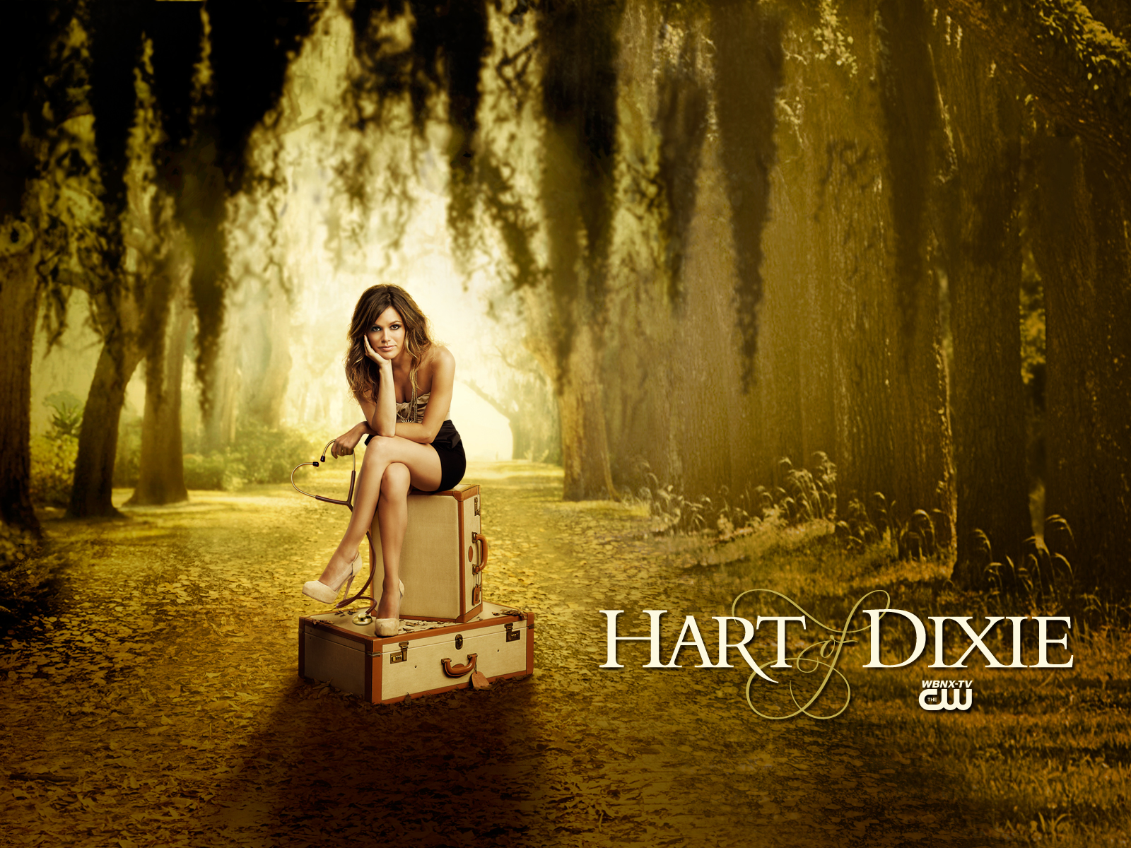 Hart Of Dixie Backgrounds, Compatible - PC, Mobile, Gadgets| 1600x1200 px
