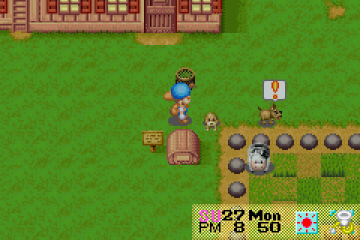 Images of Harvest Moon: Friends Of Mineral Town | 720x480