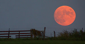 Amazing Harvest Moon Pictures & Backgrounds