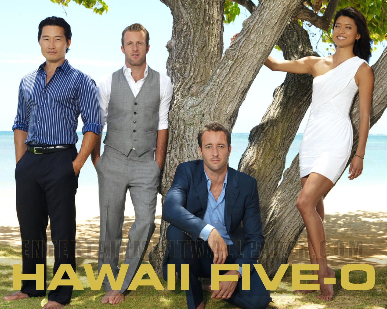 Hawaii Five-0 #10