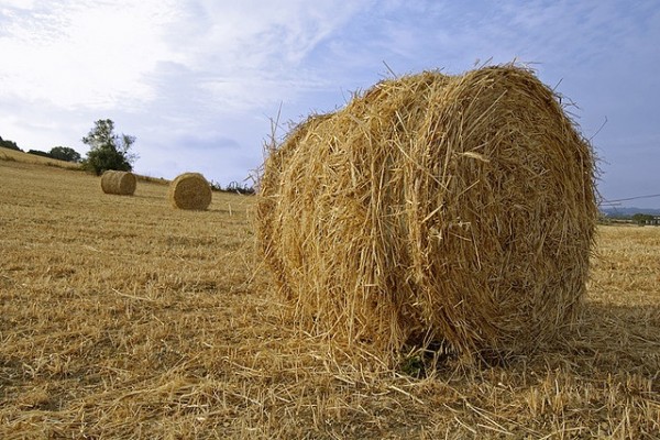 Amazing Haystack Pictures & Backgrounds