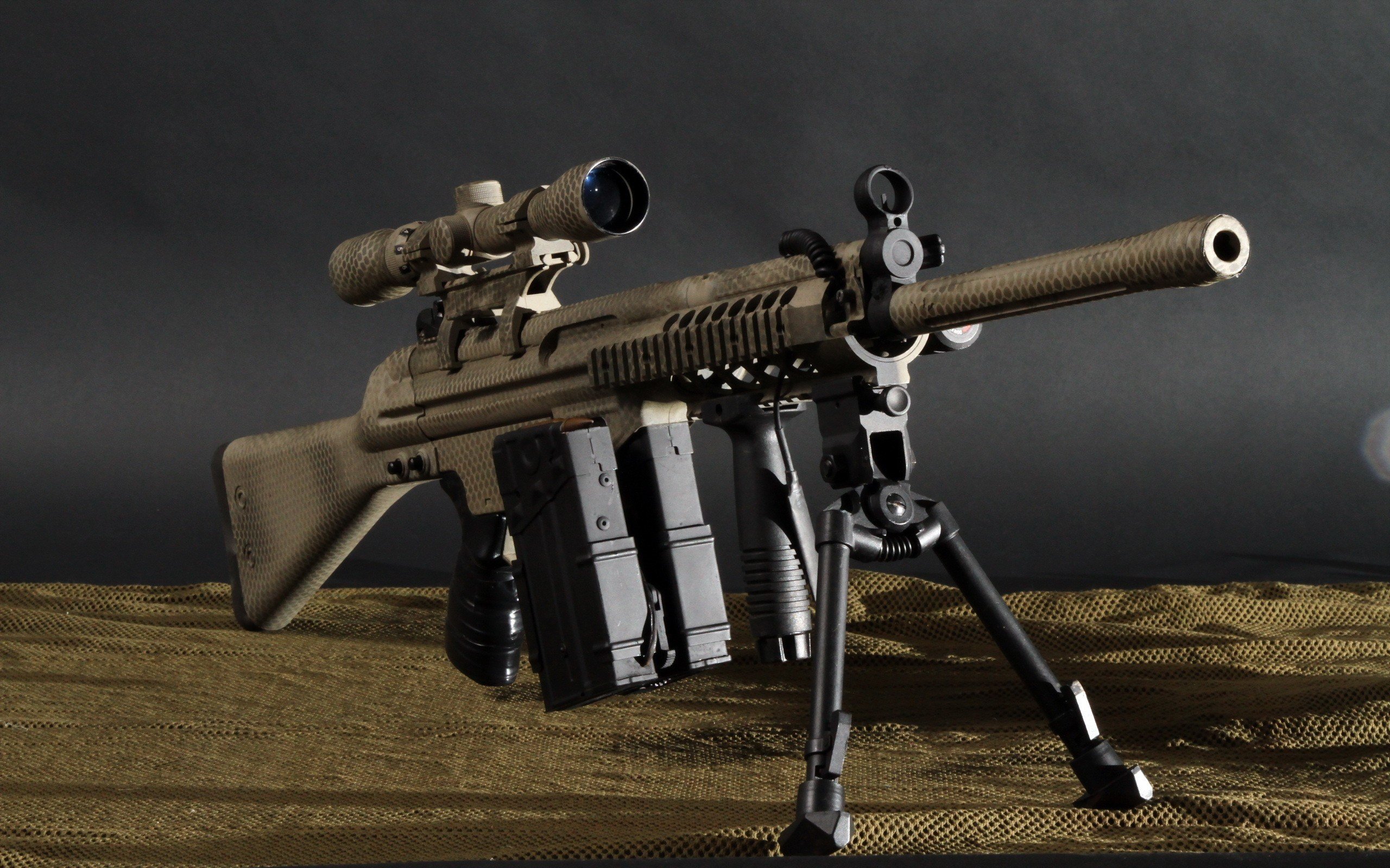 Images of Heckler & Koch G3 Assault Rifle | 2560x1600