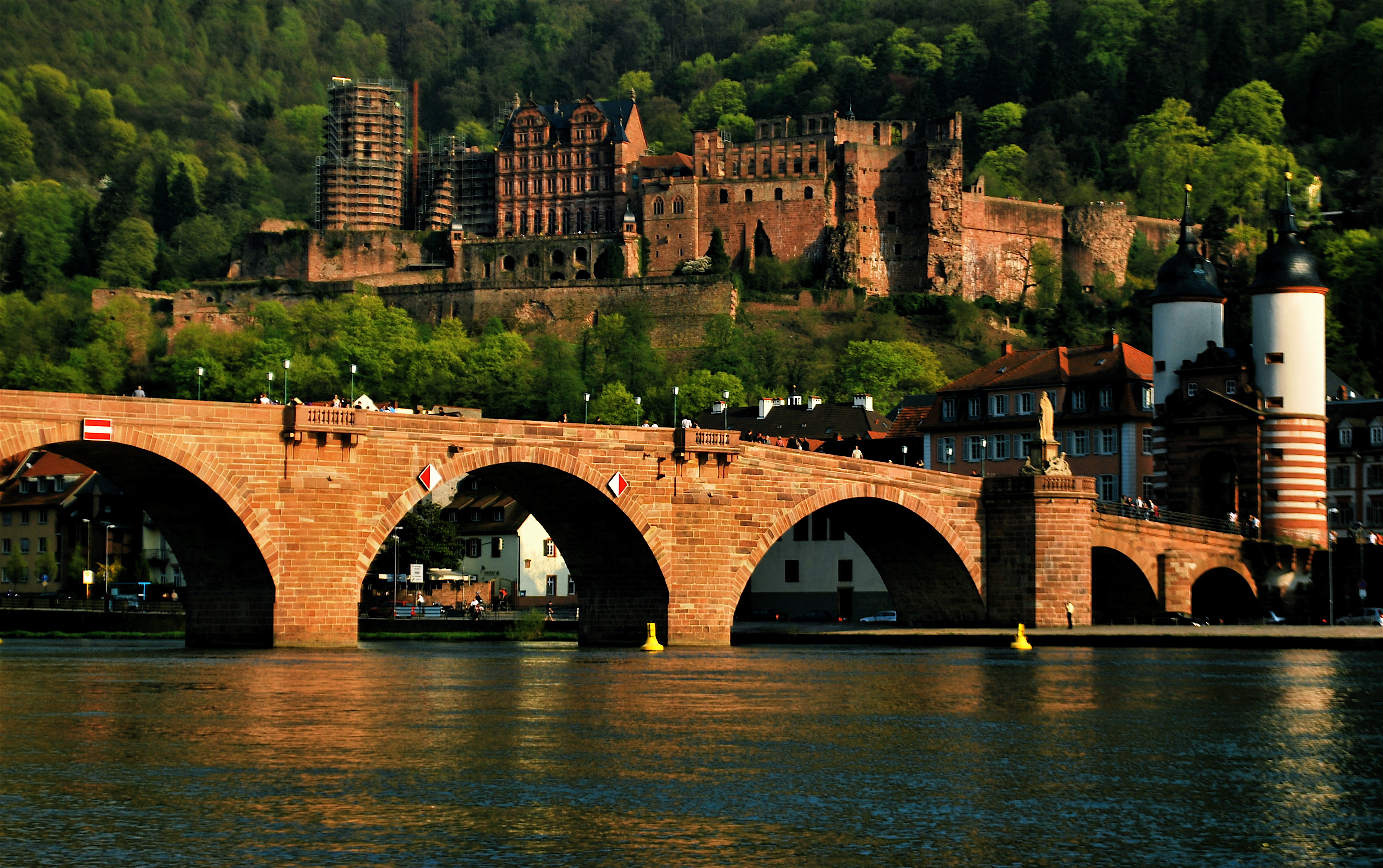 Heidelberg Castle Backgrounds on Wallpapers Vista