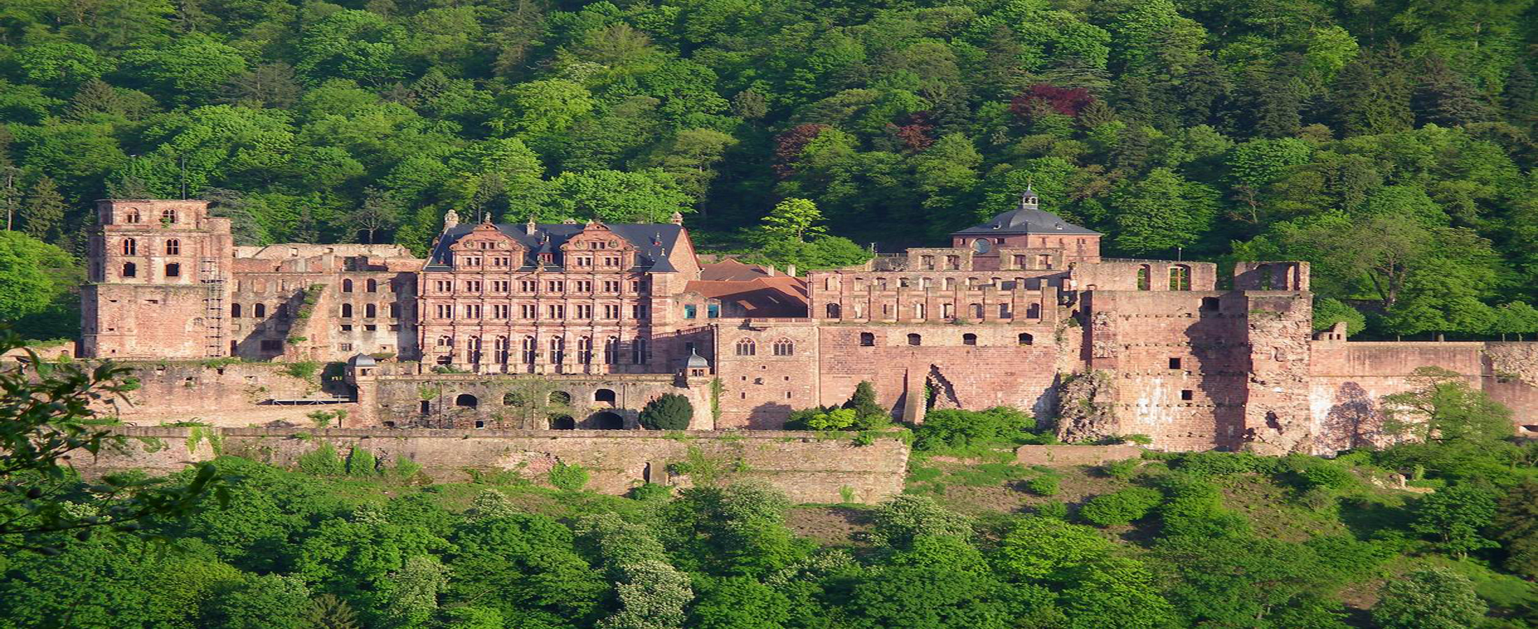 Heidelberg Castle High Quality Background on Wallpapers Vista