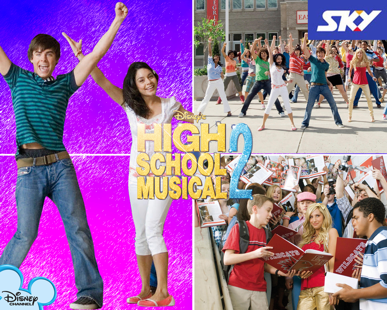 Nice Images Collection: High School Musical 2 Desktop Wallpapers